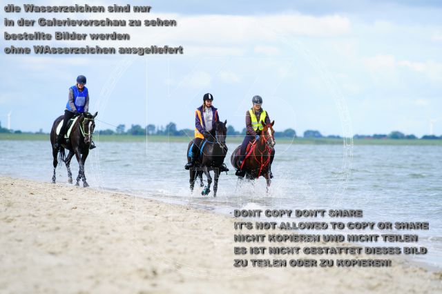 s_K3F05083.JPG
